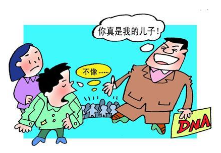 亲子鉴定的结论有哪几种？