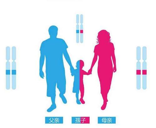 　　佛山亲子鉴定费一般多少钱?佛山个人亲子鉴定费一般多少钱?